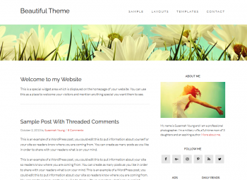 Beautiful Theme by StudioPress